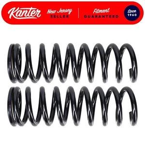 2 FRONT Coil Springs 1966-1969 Ford Fairlane & Fairlane 500 with 390 427 V8 - Picture 1 of 9