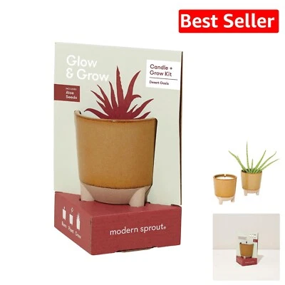 Glow and Grow Kit: 12 oz Soy Candle & Aloe Plant - 78 hr Burn in Elegant Vessel - Image 1 of 4
