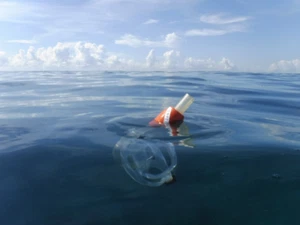 Schnorchelbuoy - ein einzigartiger Schnorchelschwimmer zum TAUCHEN und Schnorcheln und Freitauchen - Bild 1 von 11