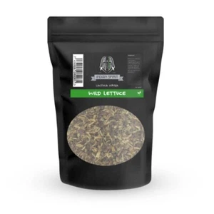 LATTUGA SELVATICA ☁️✧ 50g Lactuca Virosa 🍃 WILD LETTUCE - Macinato - Imagen 1 de 3