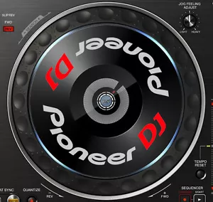 PIONEER DJ DDJ-RZX (DDJ RZX) JOG / SLIPMAT GRAPHICS / STICKERS - CDJ DDJ DJM - Picture 1 of 5