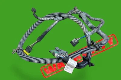 Workhorse Step In Walk In Van Delantero Izquierdo Lado del Conductor Cable Conector Arnés Foto 1 de 4