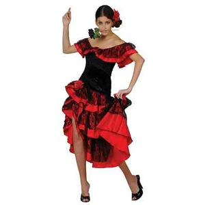 Spanish Senorita Flamenco Dancer Fancy Dress Costume - Picture 1 of 1