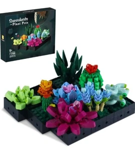 Succulent Bonsai Building Kit, - Picture 1 of 7