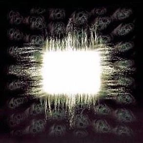 TOOL Aenima CD NEW - Image 1 of 1