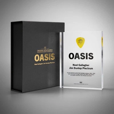 Noel Gallagher Stage/Recording Used Plectrum Display & COA Oasis Memorabilia - Image 1 of 4
