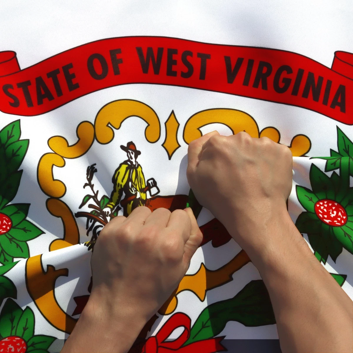West Virginia University Gartenflagge – Design A, 100% Polyester, Doppelseitig