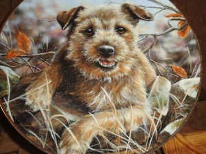 Danbury Mint Collectors Plate A WELCOME REST From THE BORDER TERRIER - Picture 1 of 4