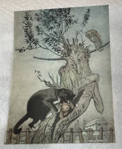 Arthur Rackham Antique Print Poor Cecco From Antique Magazine Murrum's Revenge - Picture 1 of 11