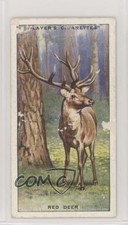 1939 Player's Animals of the Countryside Tobacco Red Deer #35 1i3