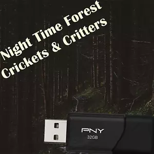 Night Time Forrest Crickets & Critters (Relaxation & Sleep Aid) on 16GB USB - Bild 1 von 1