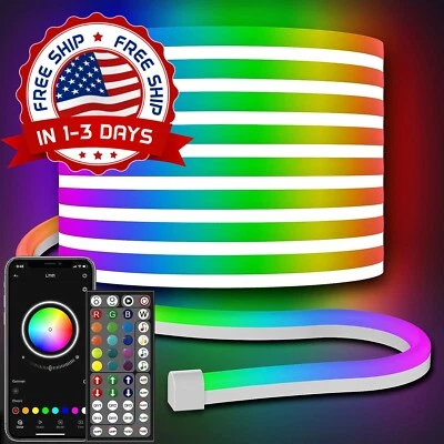 Tira De Luz De Neón Iluminación De Luces De Cuerda De Tubo De Neón 32.8Ft NEW US - Image 1 of 4