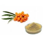 Sea buckthorn Fruit Extract 10:1 Powder Pure & High Quality Extract Powder