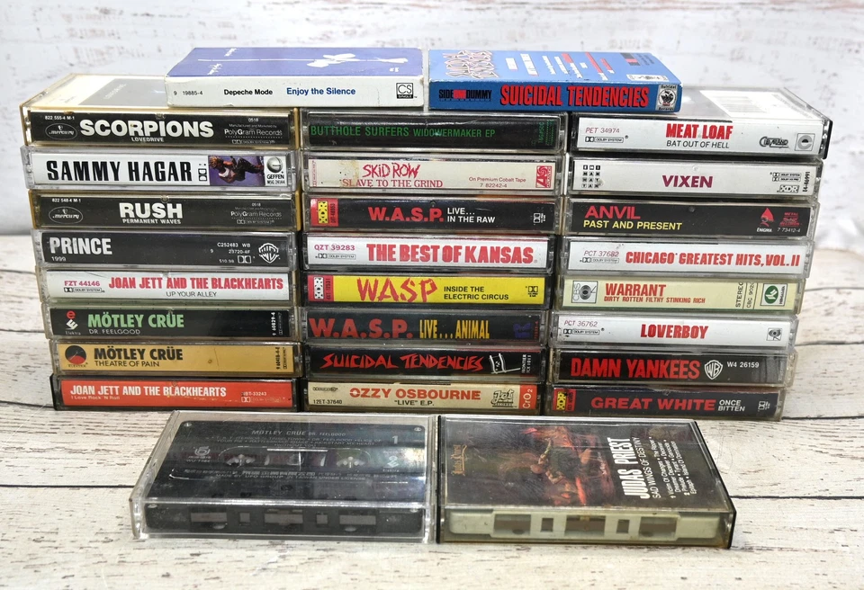 Лот из 28 кассетных лент Rock Ozzy Osbourne Motley Crue Suicidal Tendencies WASP - Изображение 1 из 3