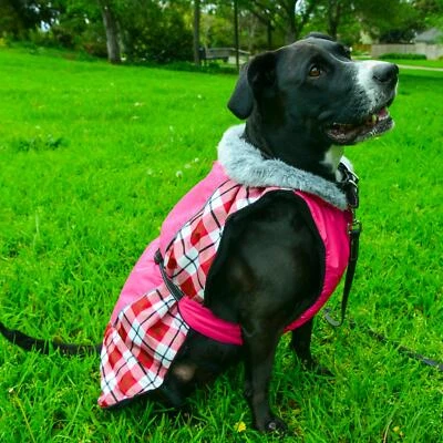 Clearance Sale Doggie Design All-Weather Dog Coat  Raspberry Plaid  XS-5XL - Image 1 of 4