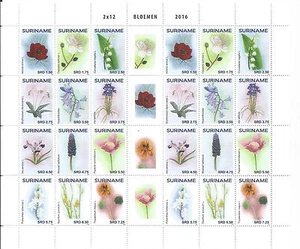 Suriname - Bloemen - 2016 KB - Imagen 1 de 1
