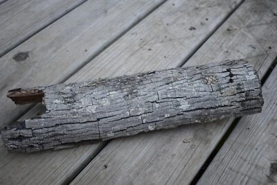 MOSS COVERED TUNNEL CAVE DRIFTWOOD TERRARIUM AQUARIUM FISH TANK TAXIDERMY DECOR - Image 1 of 4