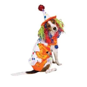 Zack & Zoey Klasse Clown Hundekostüm XS XL gruselig süß Halloween Outfit neu sehr guter Zustand - Bild 1 von 1