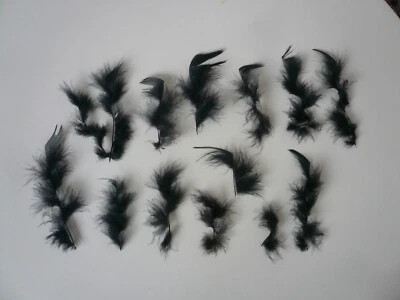 Basteln Hobby Federn Bastelfedern Vogelfedern Hühnerfedern schwarz gedreht - Bild 1 von 4