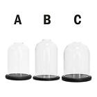 Glass Cover W/ Hole W/ Wooden Base Accessory Set Display Ornament Smoking Dome