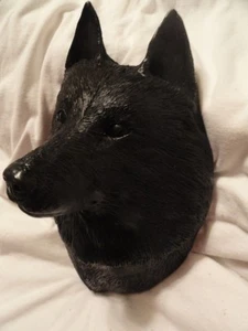 Cold Cast Bronze Schipperke Head Sculpture Statue PatsiAnn Limited Edition - Picture 1 of 6