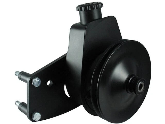 Kit de bomba de dirección asistida para Ford LTD II 1977-1979 5,0 L V8 1978 QN682YG Foto 1 de 1