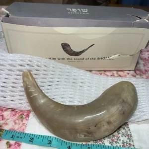 Shofarot Israel Auténtico Kosher Rams Cuerno Shofar - 9 Pulgadas Hecho en Israel Regalo - Imagen 1 de 7