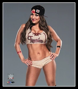 WWE NIKKI BELLA OFFICIAL LICENSED 8X10 WRESTLING PHOTO AUTHENTIC PHOTO FILE 3 - Picture 1 of 1