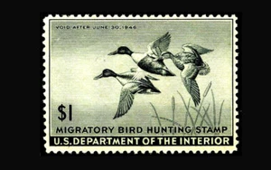 USA Federal Duck Stamp-Mint OG&H, VF S#RW12 Very lightly hinged, nice fresh stam - Picture 1 of 1