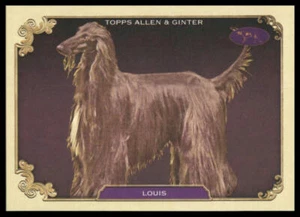 2024 Topps Allen & Ginter Westminster Louis SOS-26 - Picture 1 of 2