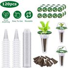 120Packs Seed Pod Kit Hydroponics Grow Anything Kit Solid Nutrient Plant Foods