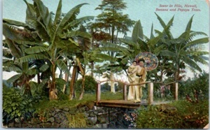 Árboles de plátano y papaya HILO, Hawaii HI - Postal - Imagen 1 de 2