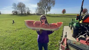 222 Lb Giant Watermelon. $35 for 5 Seeds. Free Shipping Worldwide!! - Picture 1 of 12