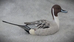 Original Miniatur Holzschnitzerei eines Hochkopf PINTAIL Drake - Bild 1 von 5