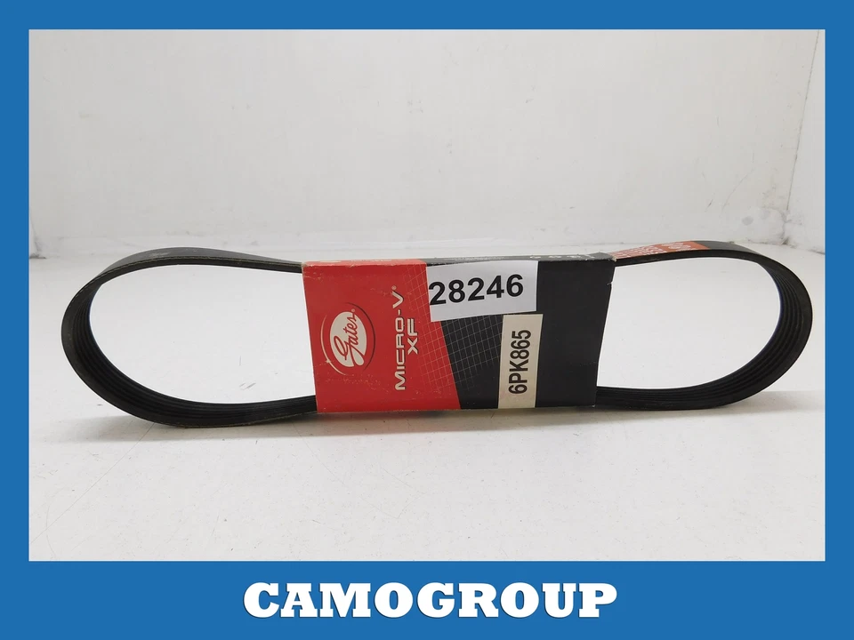 Cinturón V-Ribbed Gates Fiat Scudo Peugeot 206 306 Citroën Xsara - Imagen 1 de 1