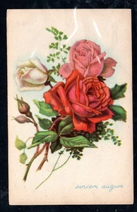 Cartolina  Augurale Sinceri Auguri Fiori  Rose (AA174) - Picture 1 of 2