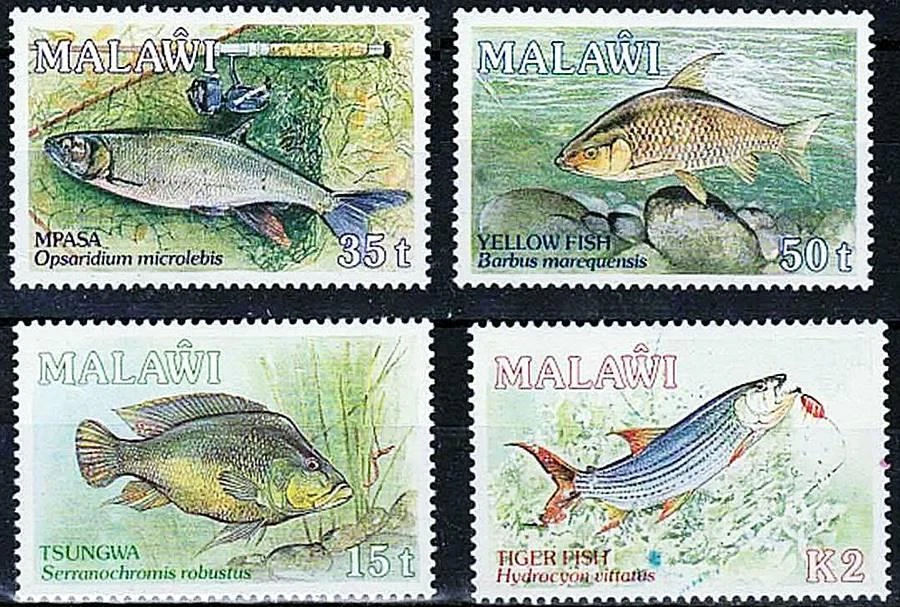 👉 MALAWI 1989 PECES MNH CV $14,25 VIDA MARINA Foto 1 de 1