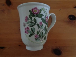Portmeirion Botanic Garden Rhododendron Floral Mug - Picture 1 of 4