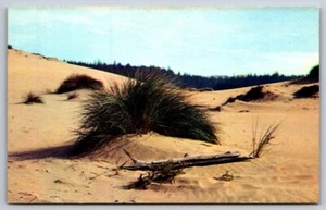 Postal cromada Oregon Coast Sand Dunas Sea Grass - Imagen 1 de 2
