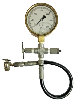 Strut Service Gauge Assembly, High Pressure Nitrogen 3,000 psi Noshok Germany Foto 1 de 4