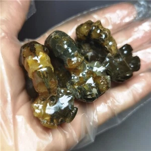150g Ammonite specimens of natural conch from "goat's horn" of Madagascar L810 - Picture 1 of 13