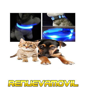 Collar Con Luz Led Para Perros Gatos Pequeños Pasear Perro Noche Mascota Azul