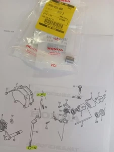 Bronzina comando valvola di scarico per moto Honda CR 250 1990/2001 - Foto 1 di 1