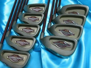 CALLAWAY BIG BERTHA GOLD JAPAN MODEL 9PC R-FLEX IRONS SET GOLF CLUBS - Picture 1 of 9