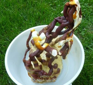 REISHI mushroom spores spawn/mycelium (on dry seeds) 20 grams - Picture 1 of 6