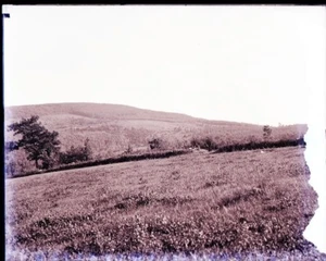 1800s-1900s GLASS NEGATIVE, NEW HAMPSHIRE, SUNAPEE AREA, FIELD, MOUNTAIN,NO MARK - Picture 1 of 1