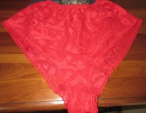 UNBRANDED RED 80s poly nylon LACE HI CUT FLUTTER FRENCH TAP panties S - Picture 1 of 6