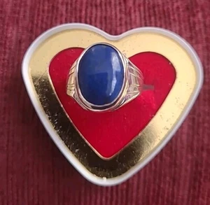 MEN'S LAPISLAZULI REAL GENUINE GEMS SILVER RING OVEL, SIZE US 9 UK R 1/2 EU59 - Picture 1 of 6