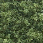 Woodland Scenics T64 Medium Green Coarse Turf- 21 Cu. In. Bag  (10)
