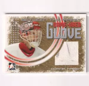 2006-07 In The Game ITG Between The Pipes Game Used Glove Dominik Hasek Red Wing - Picture 1 of 2